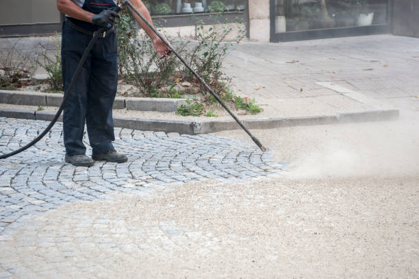 Best Spring Cleaning  in Morningside, MD