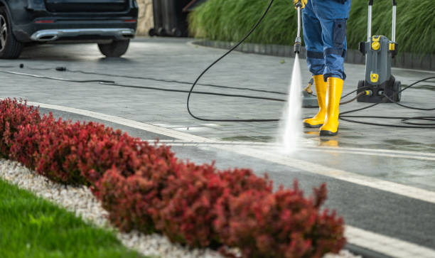 Best Residential Exterior Washing  in Morningside, MD